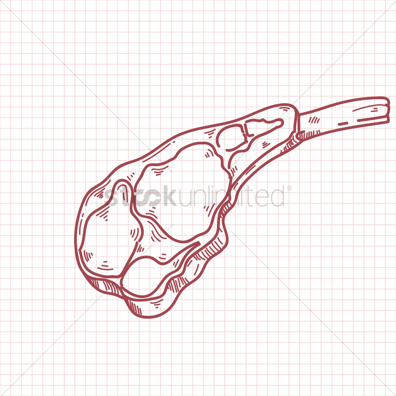 1300x1300 Lamb Chop Vector Image