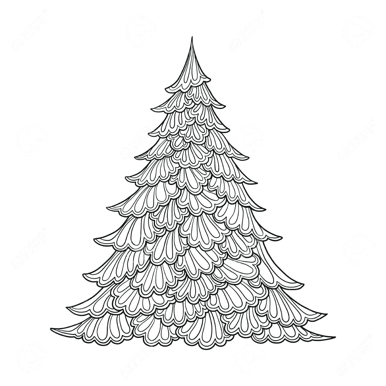 1300x1300 Coloring Pages Of Trees Unique Tree Drawing Step By Step