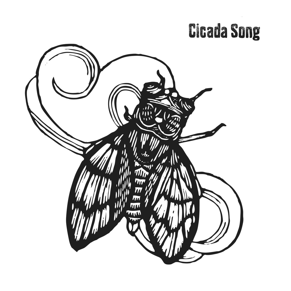 1200x1200 Wake Up Cicada Song