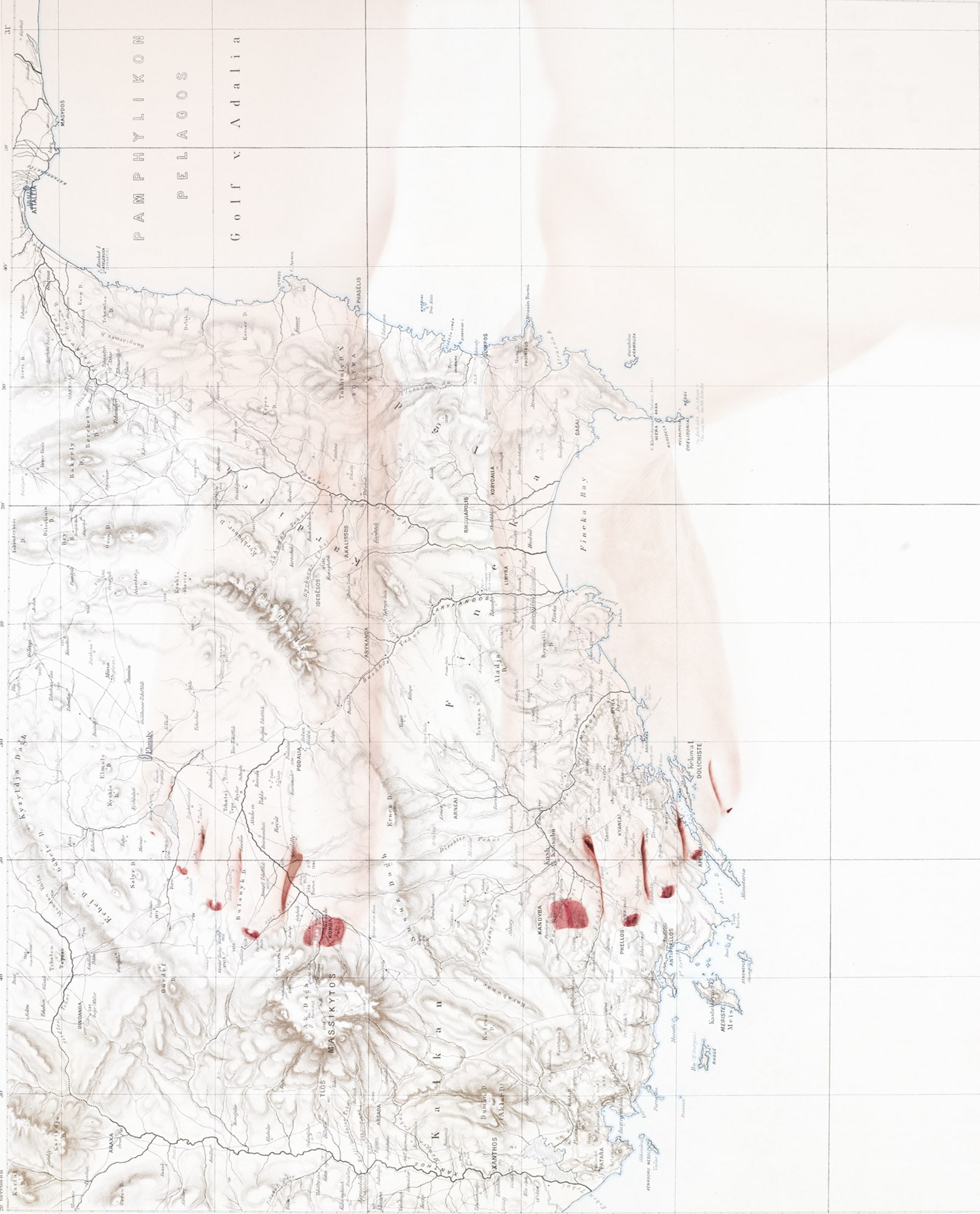 1614x2000 Circulation(S) Alessandra Kochan