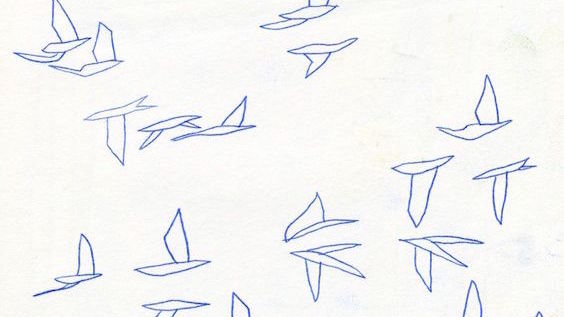 564x317 The City Of Mist Tumblr