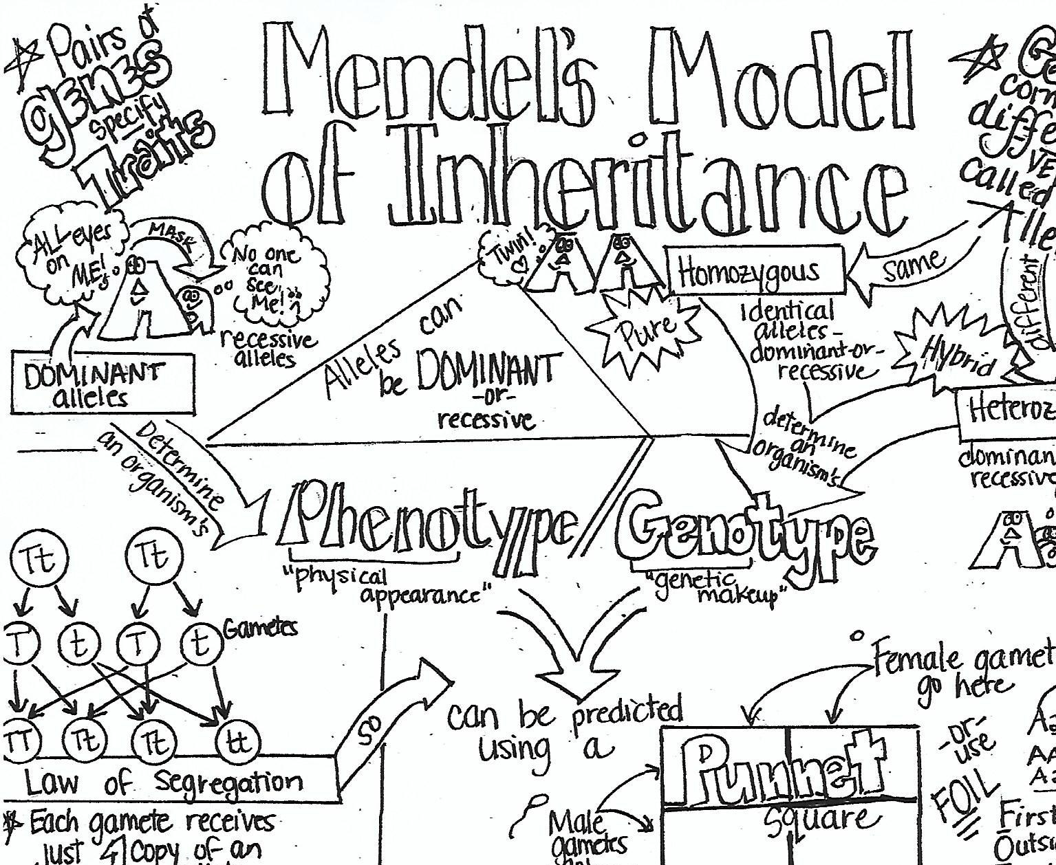 1535x1258 What Does Research Say About Using Sketch Notes In