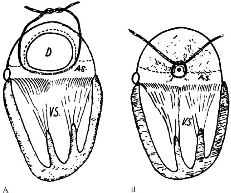 473x396 Tyge Sondergaard