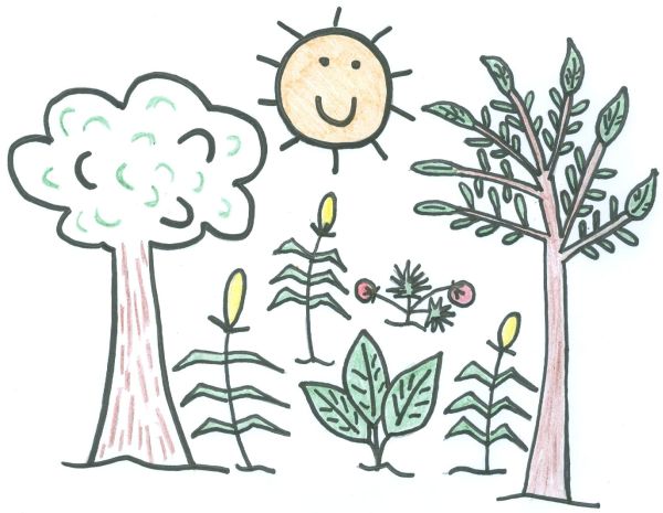 600x465 Climate Change Friends Of The Earth Ghana