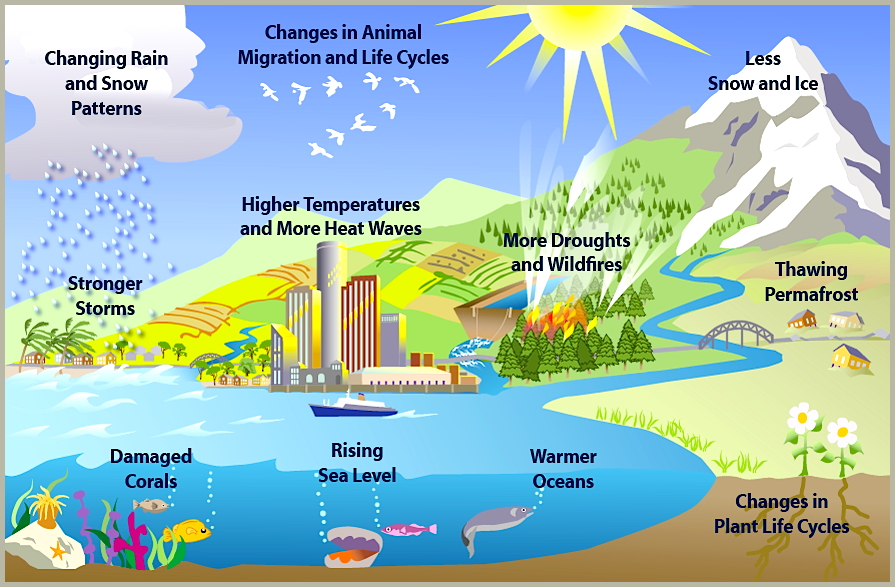 895x587 What Is Climate Change (Video) Planetsave