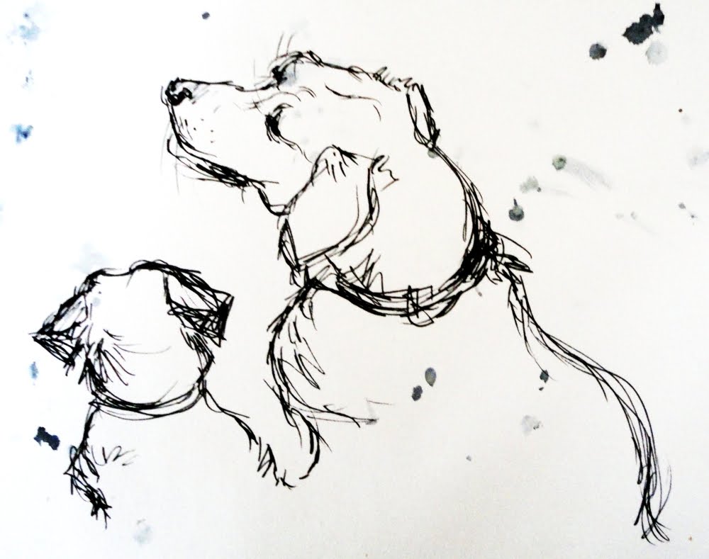 1000x789 Going To Sea In A Sieve I Don'T Just Draw My Dogs I Swear