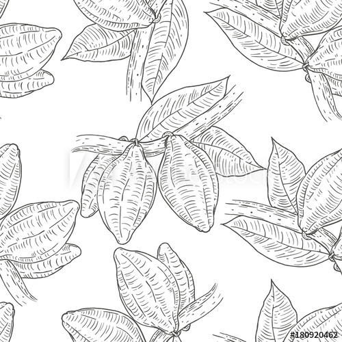 500x500 Seamless Pattern With Cocoa Beans In Retro Vintage Hand Drawn
