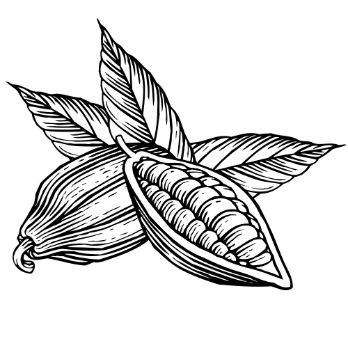 500x500 Bristol Twenty Cocoa