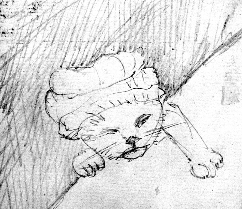 1000x865 Bc Archives