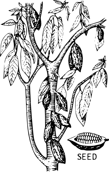 378x597 Cacao Clip Art