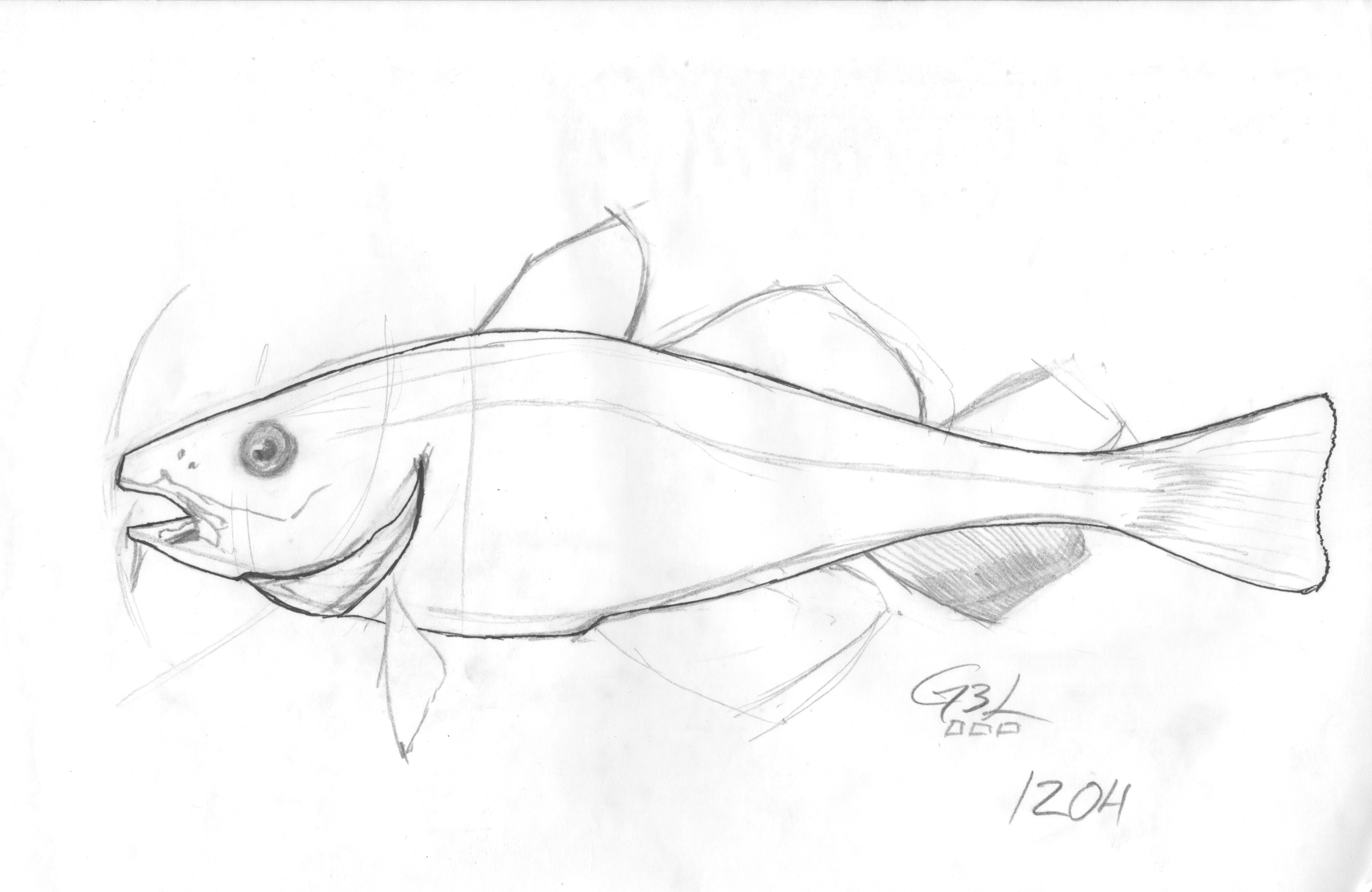 7717x5017 Cod Fish Psychedelic Weapons