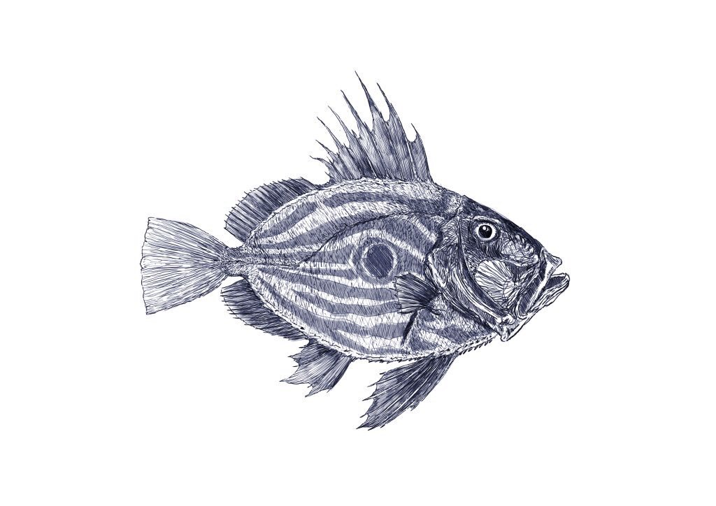 1024x724 Ben Rothery On Twitter Day 19