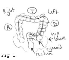 229x200 The Rumors Were True Why Go To Medical School Reason