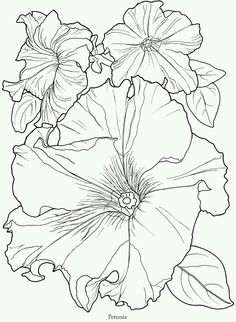 236x322 Digital Pansy Stamp