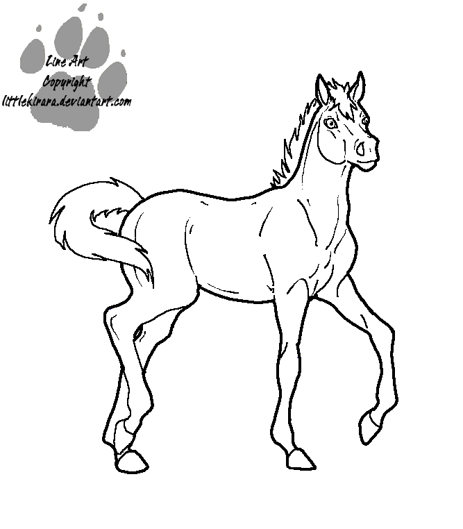 667x762 Foal Line Art Colt Version By Littlekirara