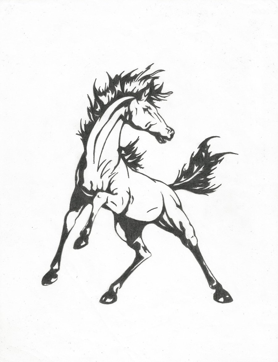 900x1170 Nmhs Colt By Rshaw87