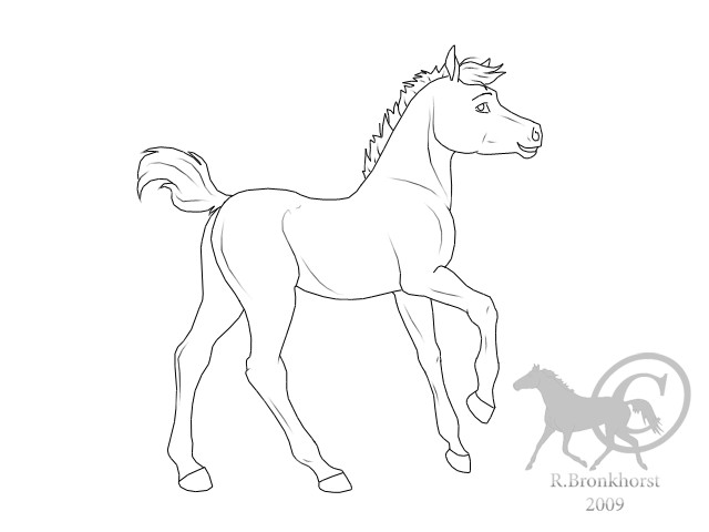 640x480 Walking Colt By Dreams Horses