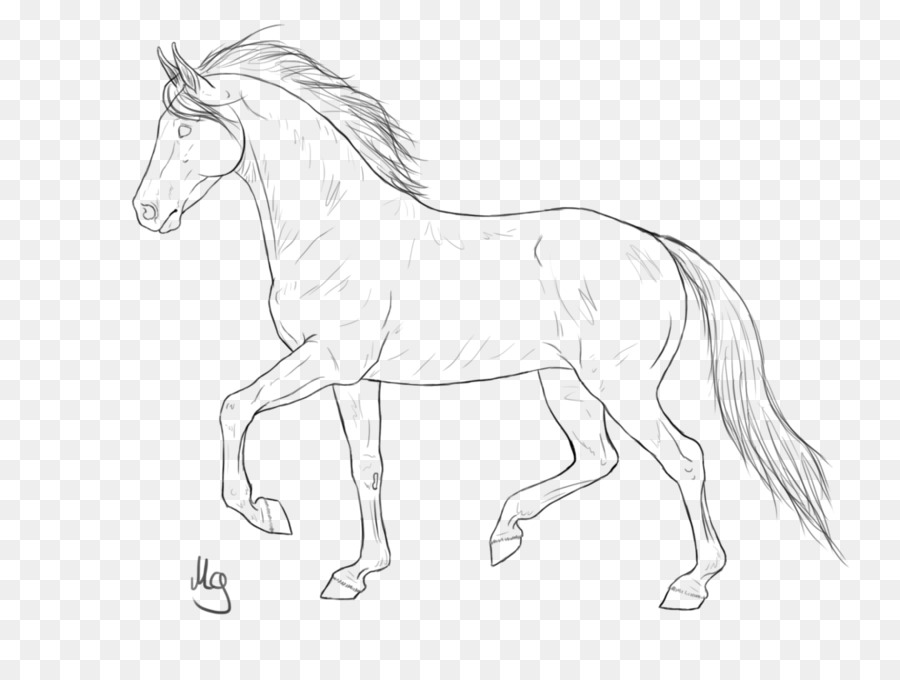 900x680 American Quarter Horse Mustang Pony Stallion Colt