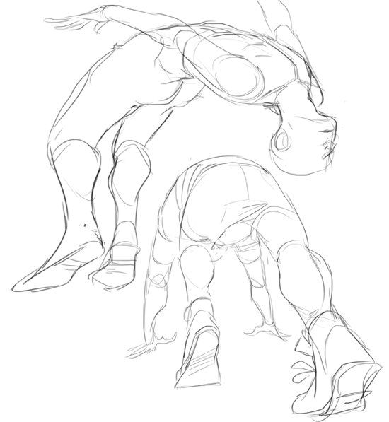 550x597 Embedded Image Combat Pose, Anatomy