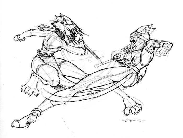 700x528 Ninja Combat By Funkyalien