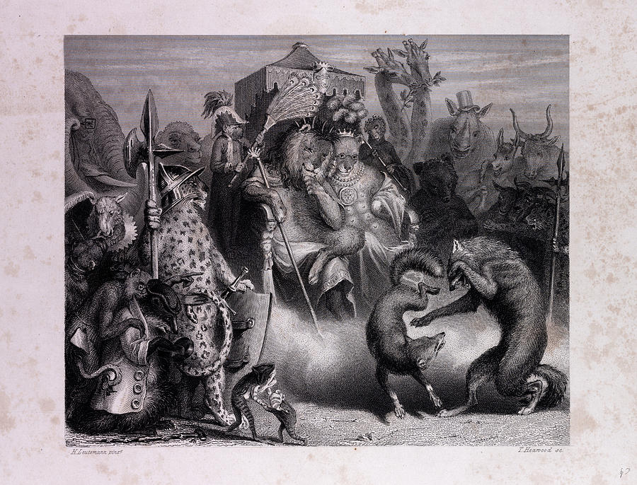 900x686 The Combat Drawing By English School