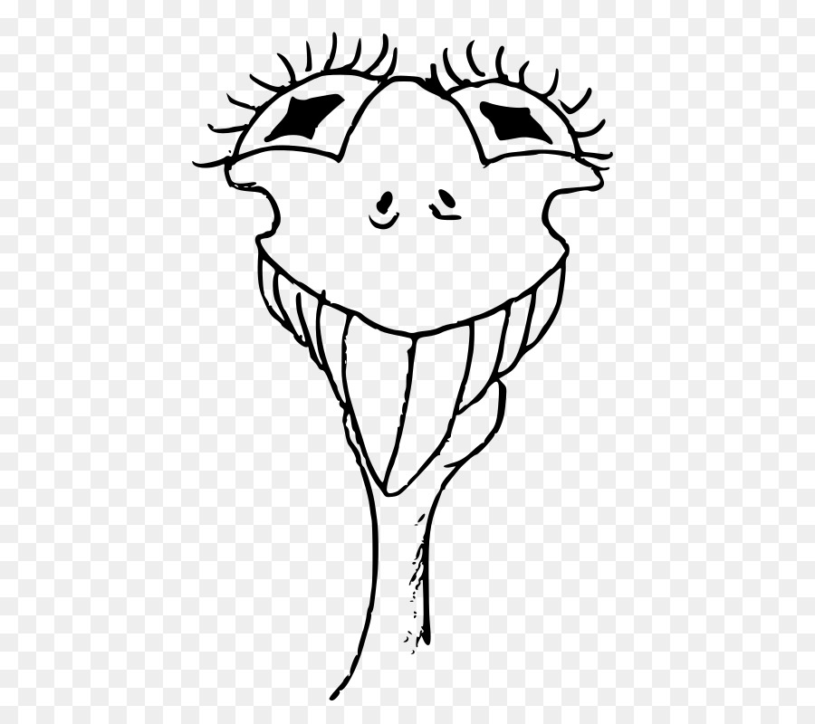 900x800 Common Ostrich Smile Drawing Line Art Clip Art