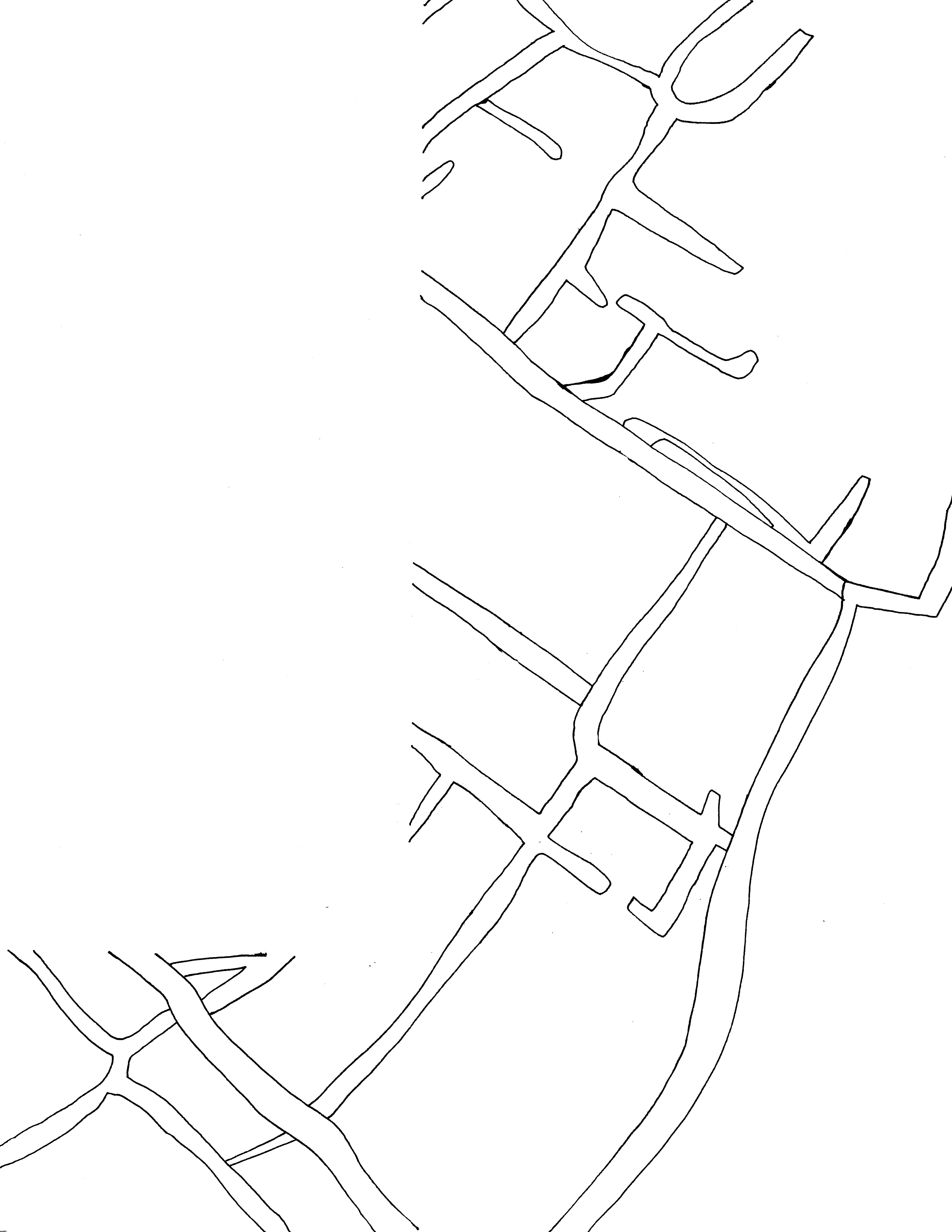 4457x5768 Fmp Hand Drawn Map, Road Names, Compass And Arrows Harriet