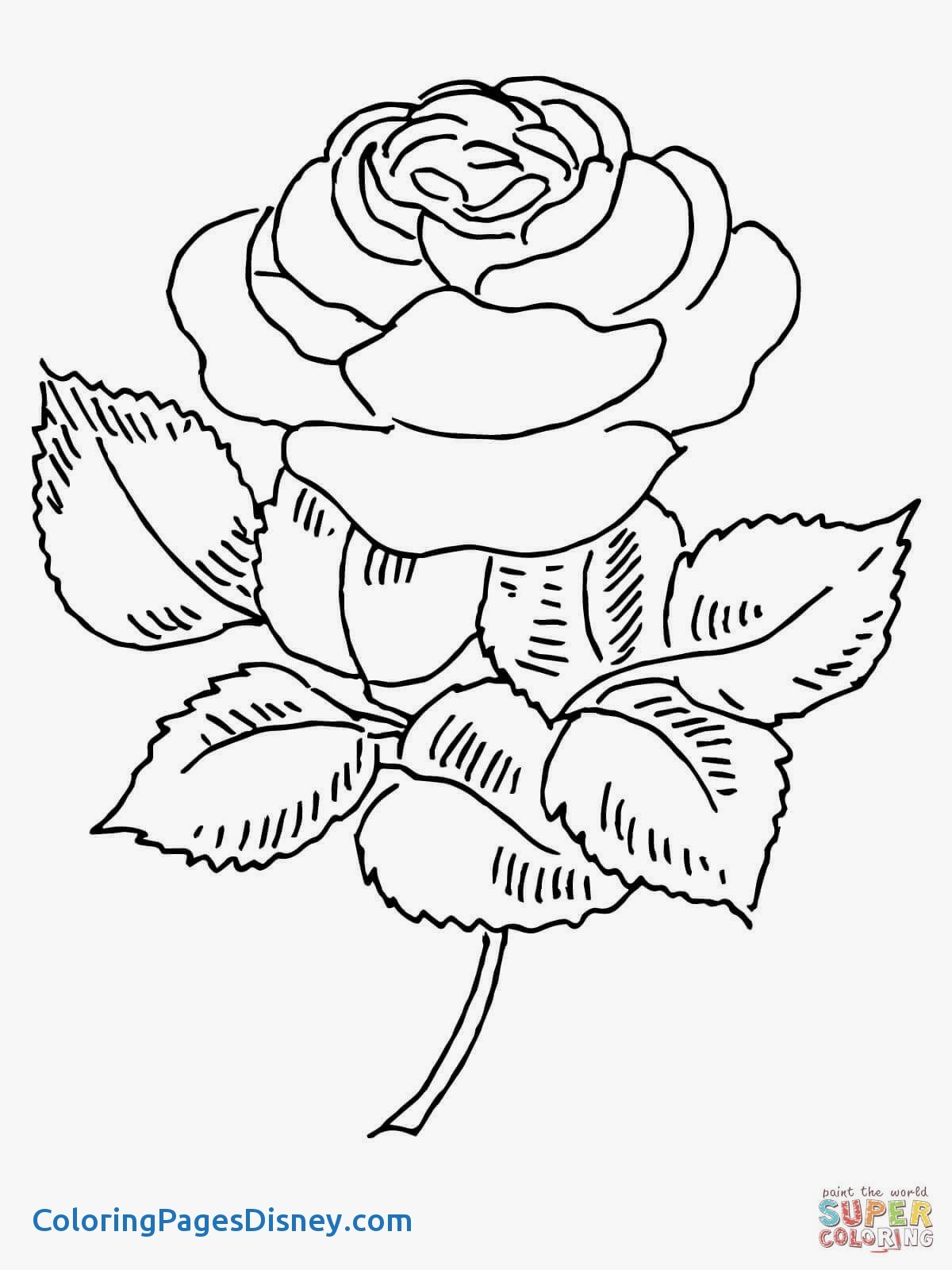 1200x1600 New Compass Coloring Pages With Nautical Futility Me And Map