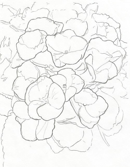 500x644 How To Draw Complex Flowers Part 1