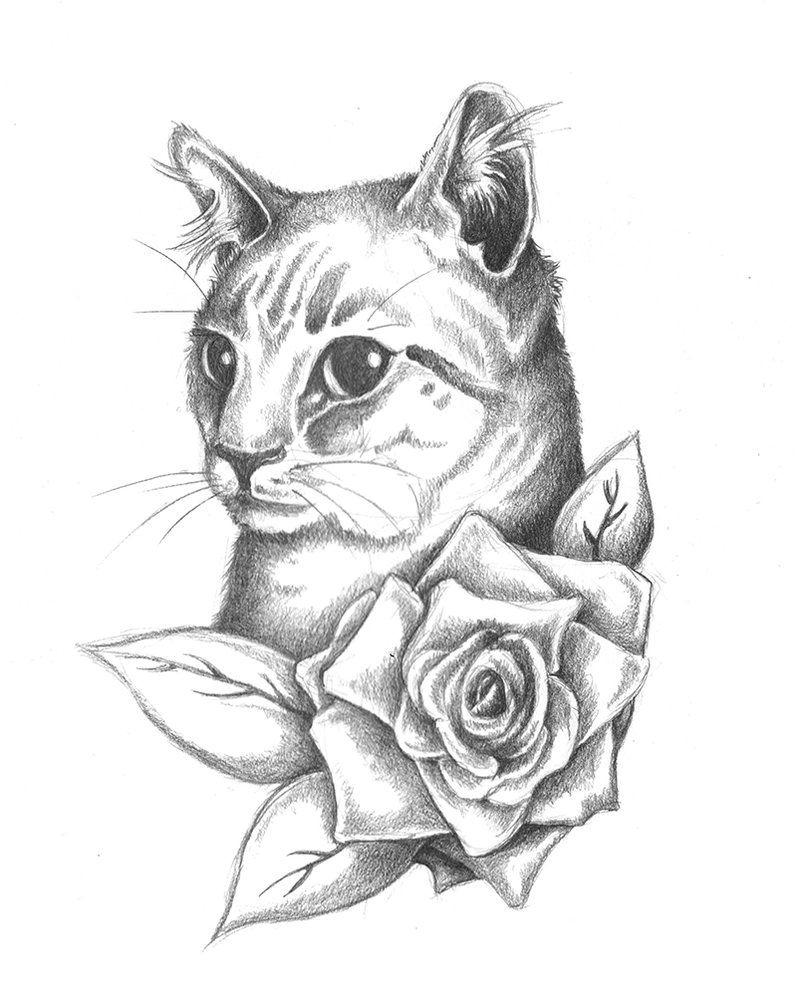 800x996 Cat Design By Thats Complex