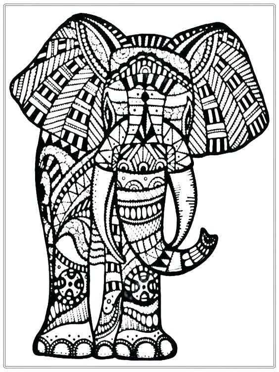 564x752 Coloring Pageselephant Elephant Coloring Book And Coloring Pages