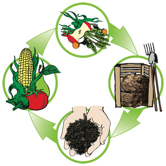 580x580 Back To The Drawing Board Why Can Compost Be The Next Recycling