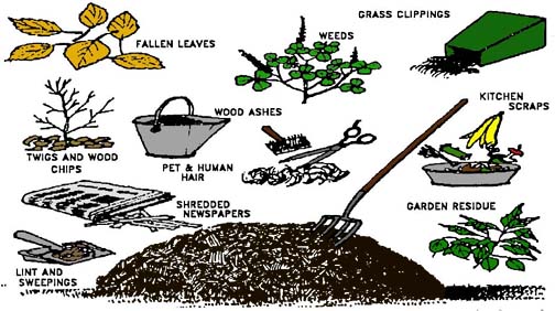 504x282 Chapter 2, Composting Fundamentals Earth Landscaping
