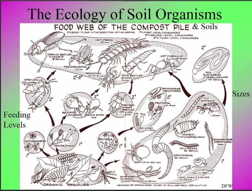 801x607 Signs Of Fall