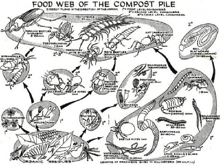 728x546 Composting 101 Presentation