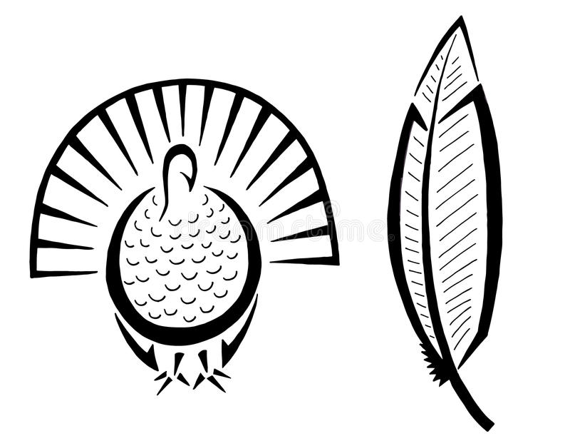 800x618 Drawing Of A Turkey Feather