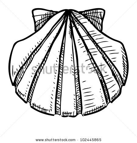 450x470 How Draw Conch Shell Save A Lightbox Please Login
