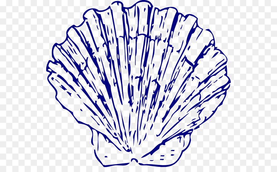 900x560 Seashell Blue Clip Art
