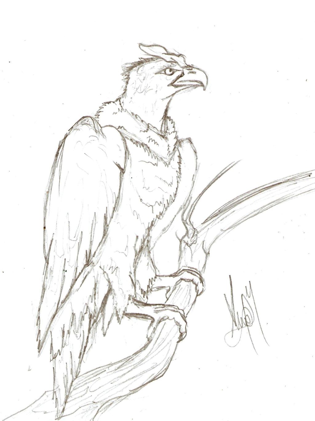 1024x1369 Condor By Drakenangelus2