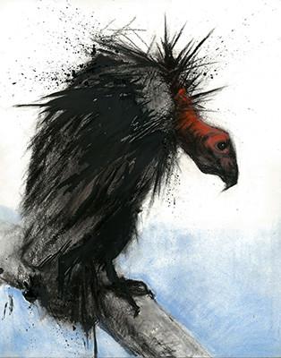 314x400 California Condor