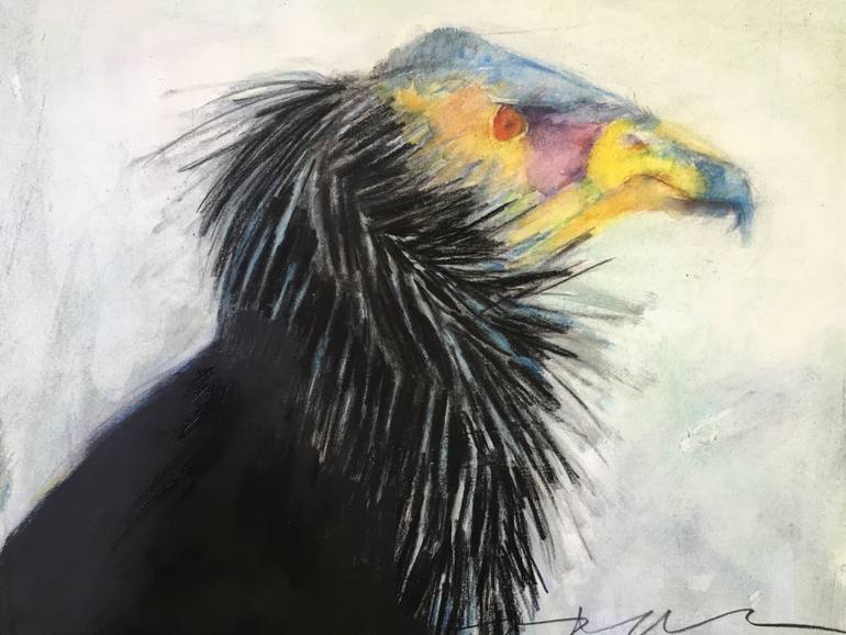 770x578 Saatchi Art California Condor Drawing By Jeanne Goodman