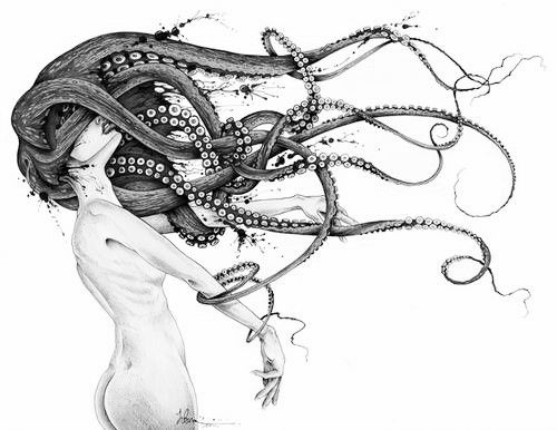 500x386 Octopus Hair Drawing