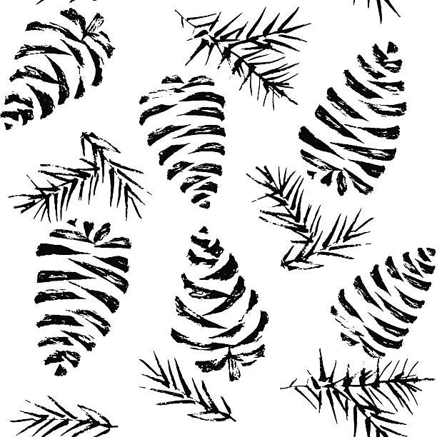 612x612 Image Result For Simple Line Drawing Of A Pine Cone Needle