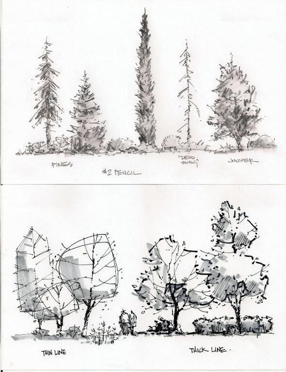 590x767 Pin By Nadq Milusheva On Landscaping Sketches