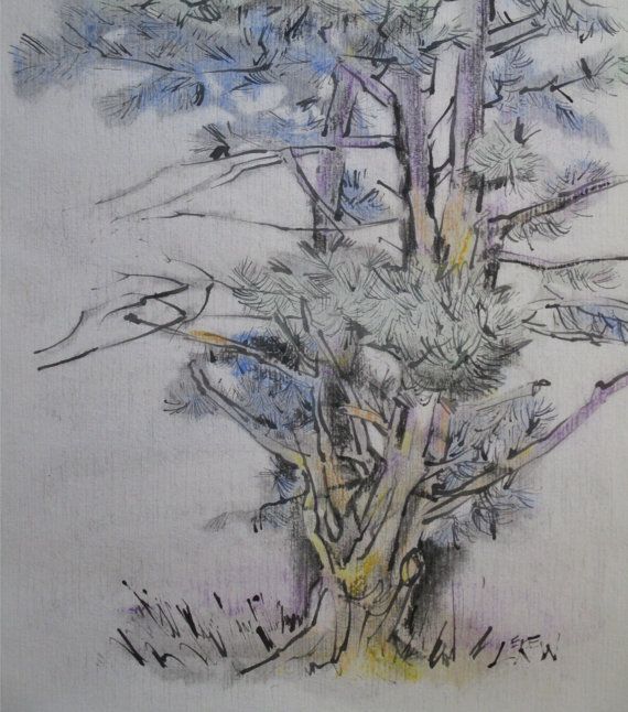 570x646 Original Painting, Evergreen, Pine Tree, Tree, Green, Conifer, En