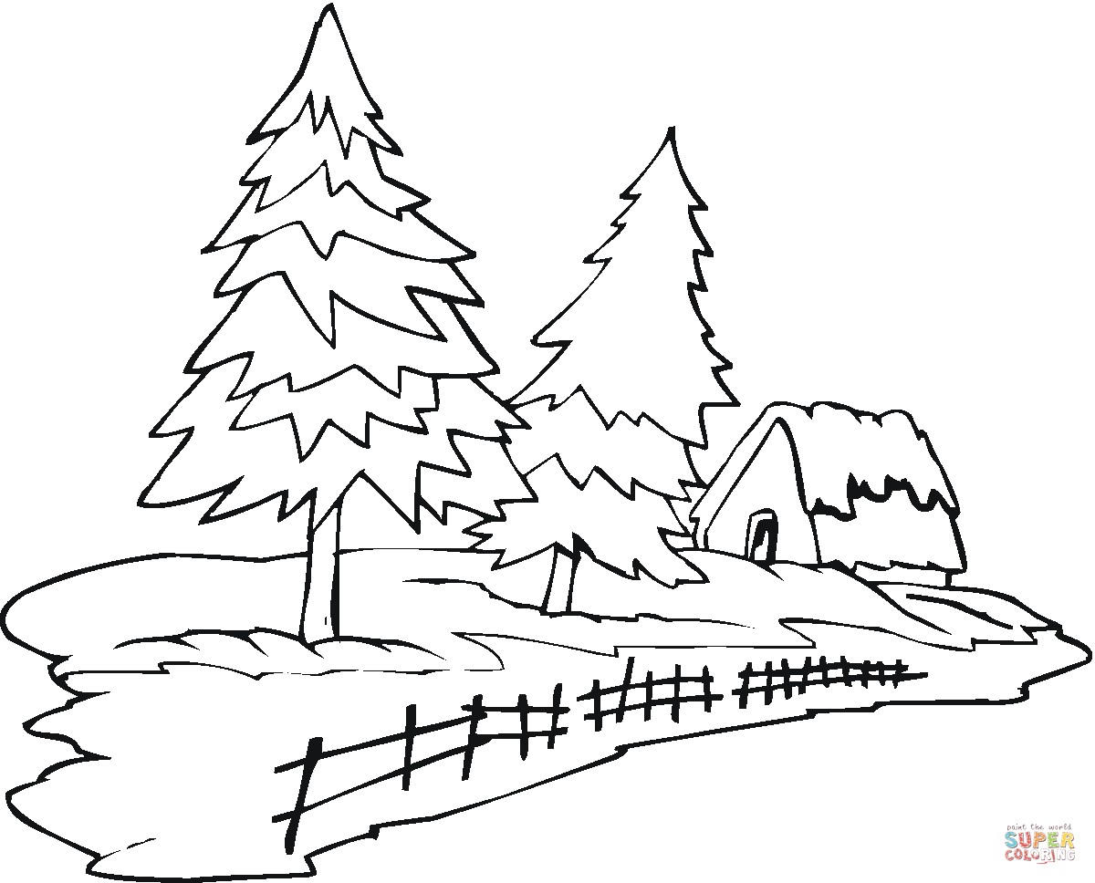 1200x968 Drawn Pine Tree Conifer Tree
