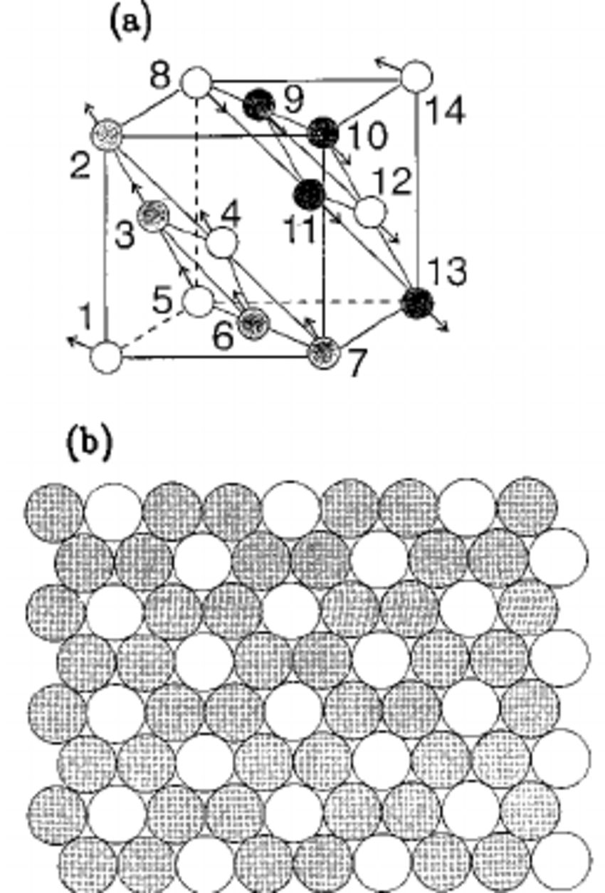 850x1254 Connection Between The Bcc Conventional Cell Thin Lines