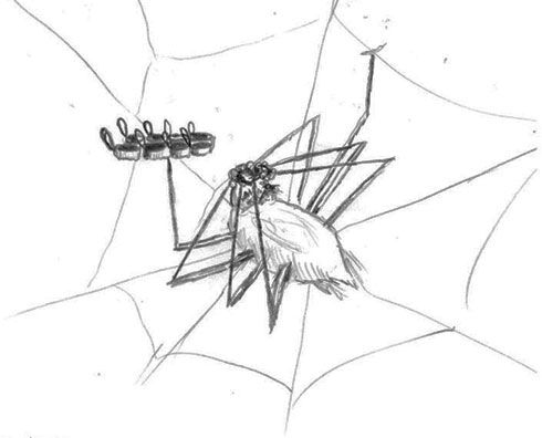 490x396 Spider Changing Her Contact Lenses @thatdankent Sketches
