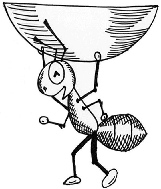 563x660 The Ant And The Contact Lens Inspiration Joint Chinminpoo!!