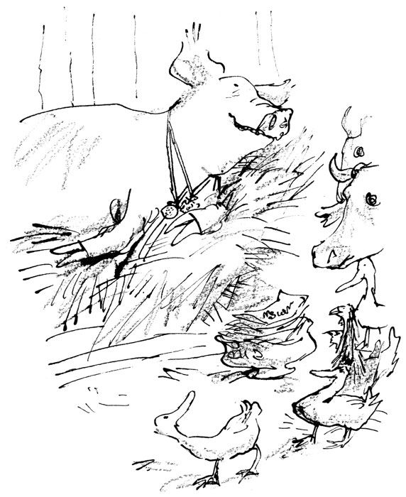 572x700 36 Best Design For Context, Animals Images On Animal